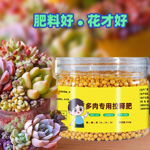 Succulent Controlled-release Fertilizer 250g Granular Long Lasting Plant Food - Product Image 2