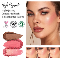 Palette de maquillage en poudre hautement pigmentée personnalisable, marque privée, DIY, illuminateur, contour, blush, palette de blush imperméable