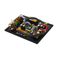 GGDX Plaque d'amplification pour subwoofer audiophile de cinéma, amplificateur de son Ethics, puissance nominale 200W