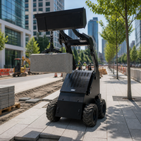 S460 Mini-Radlader Euro 5 EPA CE-Zertifiziert Kleiner Radlader für Schneeräumung Bau Landschaftsbau