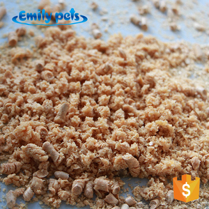 Hot Sale Emily Pets Eco-Friendly Pine Wood <b>Cat</b> <b>Litter</b> Sand Wholesale Pine Wood <b>Cat</b> <b>Litter</b> for <b>Cats</b> - Product Image 6
