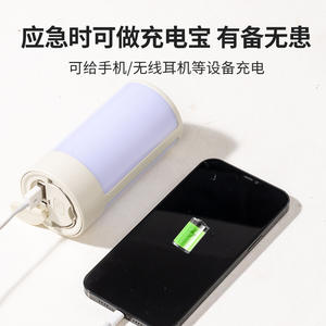 Lanterne de camping portable à LED, rechargeable, fonctionnant sur batterie, éclairage extérieur, lumière d'urgence avec poignée, lumière blanche - Product Image 4