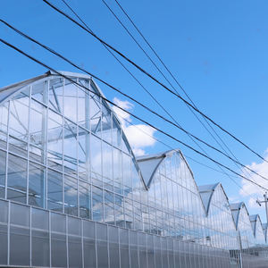 Serre agricole moderne avec fenêtres verticales pour la culture de tomates et de fraises - Product Image 3