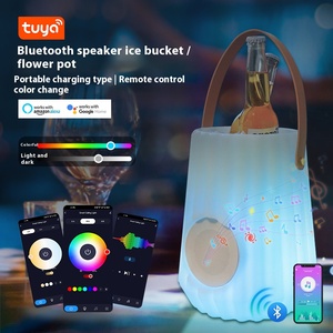Ngoài trời không thấm nước Loa ánh sáng với graffiti thiết kế, bass loa siêu trầm, LED Ice Bucket & thông minh điều khiển bằng giọng nói - Product Image 4