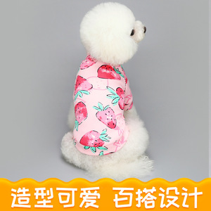 Vêtements pour animaux de compagnie écologiques en coton 100 %, sweat à capuche en polaire à imprimé floral mignon pour petits chiens, chihuahua, <span class=keywords><strong>shih</strong></span> <span class=keywords><strong>tzu</strong></span>, <span class=keywords><strong>chiot</strong></span>, collection printemps 2026 - Product Image 3