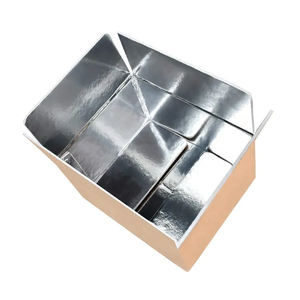 Papel de aluminio con aislamiento térmico EPE/EPS caja de cartón de envío de espuma para alimentos congelados pescado verduras - Product Image 1