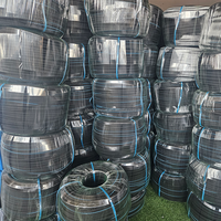 Approvisionnement d'usine tuyau noir Nano bulle Aquarium diffuseur aérateur barboteur filtré eau agricole aquaculture Machine aérateurs