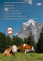 TrackerKing Traceur GPS de gestion de flotte 4G LTE étanche pour le suivi des actifs, du bétail et des moutons, application Android pour l'énergie solaire