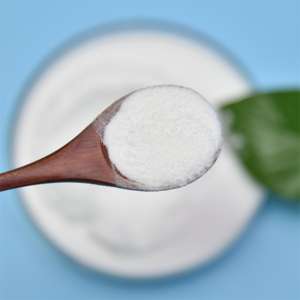 Polvo probiótico de grado alimenticio altamente activo Bifidobacterium Lactis - Product Image 1