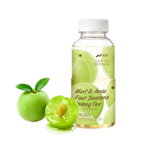 Thé Oolong Quatre Saisons Menthe & Amla Nihewan 240ml – Fabricant de Thé en Vrac OEM ODM – Emballage Personnalisé – Boisson Thé Oolong en Bouteille