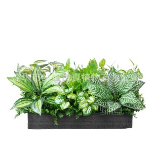รางปลูกต้นไม้ประดิษฐ์ Greenway ขนาด 30 ซม.-100 ซม. สำหรับตกแต่งภายในและภายนอกอาคาร - Product Image 1
