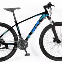 29 polegadas de boa qualidade bicicleta de montanha personalizado/pintura logotipo