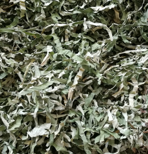 Nuove strisce naturali di foglie di loto a fette di colore verde - Product Image 4