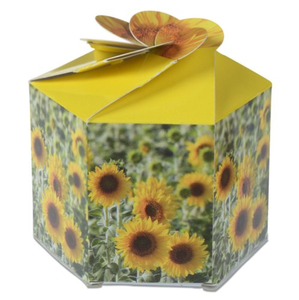 Kit de Jardinière Pop-up Personnalisable avec Logo, Tournesol Jaune Vif et Joyeux, Pliable et Portable, Cadeau d'Été pour Cultiver, Vente <span class=keywords><strong>en</strong></span> Gros - Product Image 4