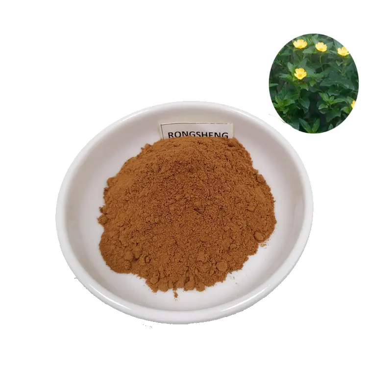 China Manufacture Supply Natural Herb 10:1 Damiana Leaf Extract