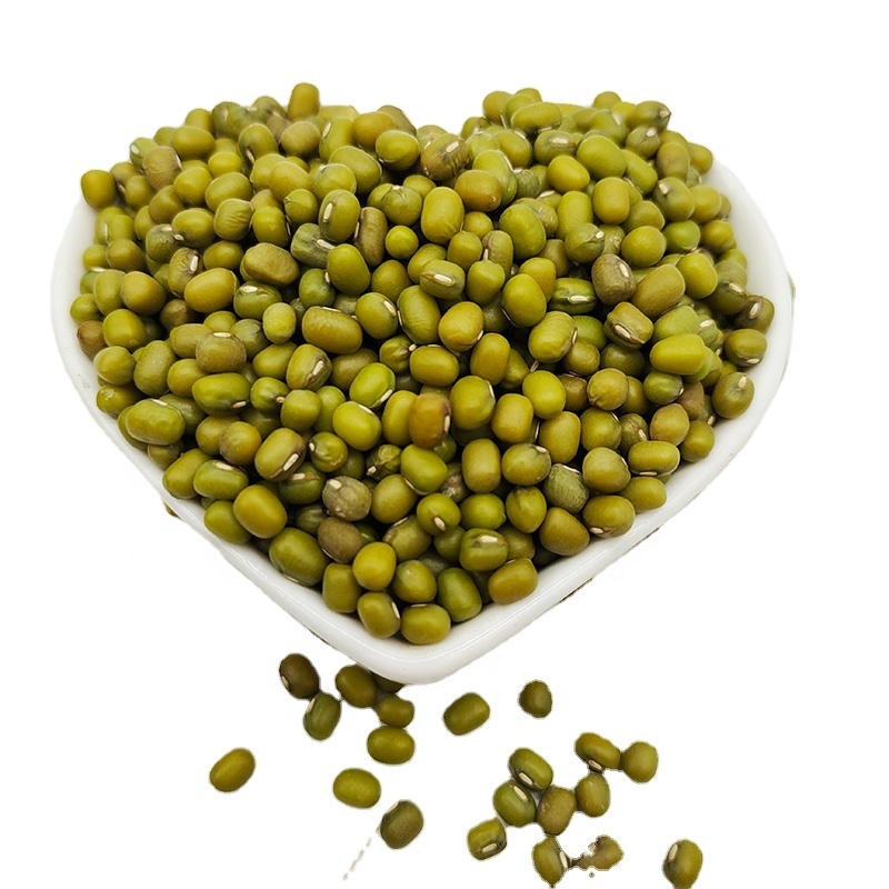 High Quality New Crop Green Lentils
