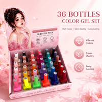 Kit de vernis gel vegan de haute qualité, 36 couleurs, style français, sans HEMA, sans TPO, pour ongles UV LED, marque privée, faible MOQ, vente en gros