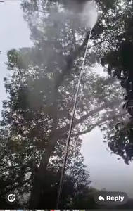 ผลิตในประเทศจีน ไม้ค้ำยันอ้อยแบบคาร์บอนไฟเบอร์ล็อคสองชั้น สำหรับเก็บเกี่ยวเมล็ดหมากฝรั่ง ความยาว 70 ฟุต ไม้ค้ำยันเก็บเกี่ยวเมล็ดหมากฝรั่ง - Product Image 6