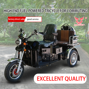 Tricycle familial compact à <span class=keywords><strong>moteur</strong></span> pour personnes âgées et enfants, véhicule de transport fermé avec <span class=keywords><strong>moteur</strong></span> à essence - Product Image 4