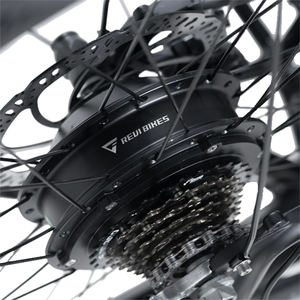 Vélo de ville électrique de 24 pouces pour femmes, vélo électrique de 36V et 350W, 2 roues motrices, présentoir de siège arrière pour bébé - Product Image 6