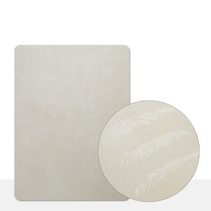 Tapis d'entraînement en Silicone sans <span class=keywords><strong>encre</strong></span> pour la pratique du Microblading, couleur grise, 20x30, <span class=keywords><strong>tatouage</strong></span>, maquillage Permanent, apprentissage, Pmu, fournitures en Latex - Product Image 2