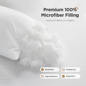 High Quality Wholesale Custom <strong>Square</strong> White 100% Polyester Cushion <strong>Insert</strong> Throw <strong>Pillow</strong> - Product Image 3