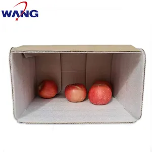As caixas de transporte isoladas para o transporte frio fresco impermeável do alimento congelado corrugaram a caixa