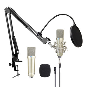 Microphone USB filaire professionnel à condensateur Wings pour studio d'enregistrement, idéal pour le chant, la diffusion en direct et les podcasts - Product Image 2