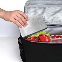 Blocs de glace pour camping, pique-nique, boîte à lunch, refroidissement des aliments et des boissons, glace en acier inoxydable