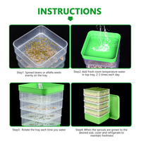 Plateau de culture hydroponique à 4 niveaux pour germer des haricots Kit de culture microverte Kit de germination des graines