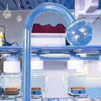 Tube en quartz transparent de haute pureté avec plaque en quartz à extrémité sphérique pour inspection visuelle en laboratoire, tubes à échantillons personnalisés