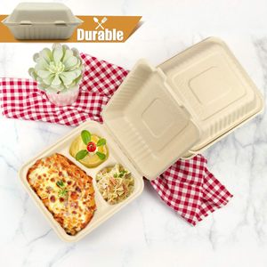 Boîte à clapet compostable jetable en bagasse de canne à sucre, imperméable et résistante à la graisse, capacité 12-58 oz - Product Image 5