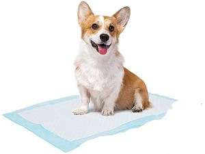 CDHB Disposable Pet <b>Pee</b> <b>Pad</b> Dog Training <b>Pads</b> for Dogs and Cats - Product Image 6
