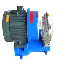 Pompe à engrenages magnétique en acier inoxydable -300, sans fuite, Ycb-4/0.6, pour alimentation chimique circulaire et huile - Product Image 4