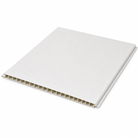 Placa de Techo de PVC Blanca para Proyectos Comerciales de Cadenas de Restaurantes de Comida Rápida WYRAX