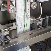 Prix d'usine – Ensacheuse multifonctionnelle automatique haute précision à têtes multiples pour l'emballage de haricots torréfiés, pois chiches, noix de cajou et autres fruits à coque
