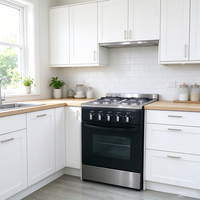 Fourneau électrique intégré en acier inoxydable haute puissance, personnalisable pour marque, avec grille de cuisson à convection et four