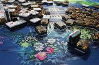 Jeu de tuiles de Mahjong américain personnalisable couleur écaille de tortue – Tuiles de Mahjong de Malaisie