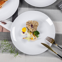 Assiettes de restaurant en plastique blanc, assiettes à dîner en mélamine blanches solides de 11 pouces