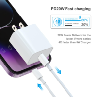 Ensemble de chargeur rapide USB C PD 20W, adaptateur mural compact, prise d'alimentation de type C pour iPhone 16 15 14 13 12
