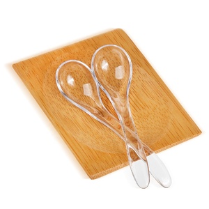 2020 nice clear plastic long handle set ice cream serving spoon with food grade