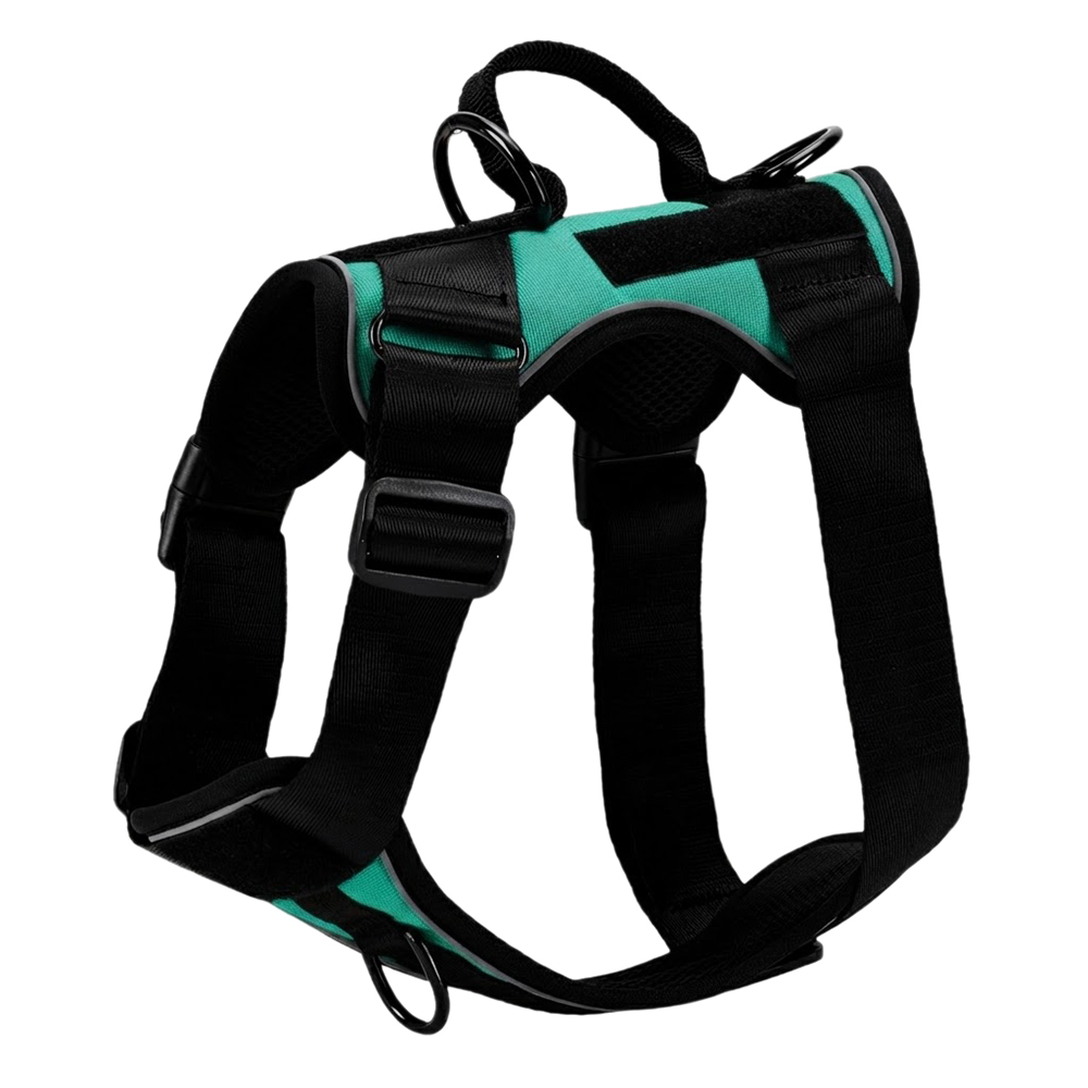 Teal Green