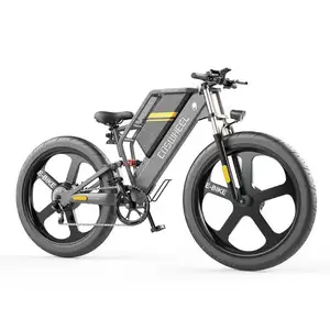 Coswheel 48v 1000w 750w Big Power 80Km Long Range Fat Tire Electric Bike Snow Ebike Electric Beach Cruiser Bicycle