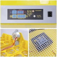 Contrôleur de puissance de batterie 12V HHD 220 pour incubateur et éclosoir à 48 œufs pour poulets