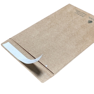 Custom Eco Friendly Small <strong>Brown</strong> <strong>Kraft</strong> Paper Seed <strong>Envelopes</strong> Self Seal Mailing <strong>Envelopes</strong> With Logo - Product Image 1