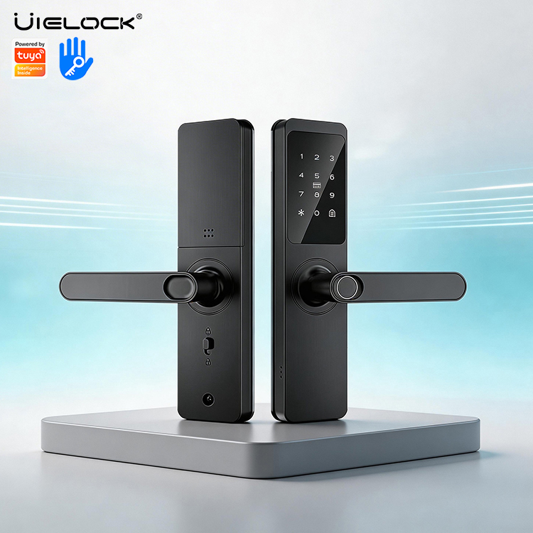 Home Security Indoor Smart Lock for Wood Door with Fingerprint Key Card TUYA APP Control WiFi Anti-Theft · image 3