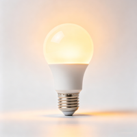 Ampoule LED WOOJONG A19 120V 5W 40WE E26 DIM Certifiée Energy Star pour le marché nord-américain