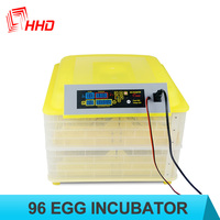 Incubateur numérique rotatif pour œufs d'autruche en polystyrène de table, prêt à être expédié, Gapin 96 œufs avec humidificateur, prix en Égypte