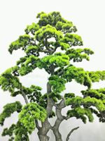 Vente en gros de sapins artificiels écologiques durables de 160 cm pour la décoration intérieure et commerciale