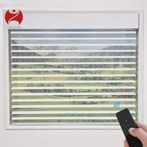 Tearoom Lounge 3D Zebra Embroidered Double Fabric Soft Screen Jacquard Window Blinds Electric Remote Control Roller Window